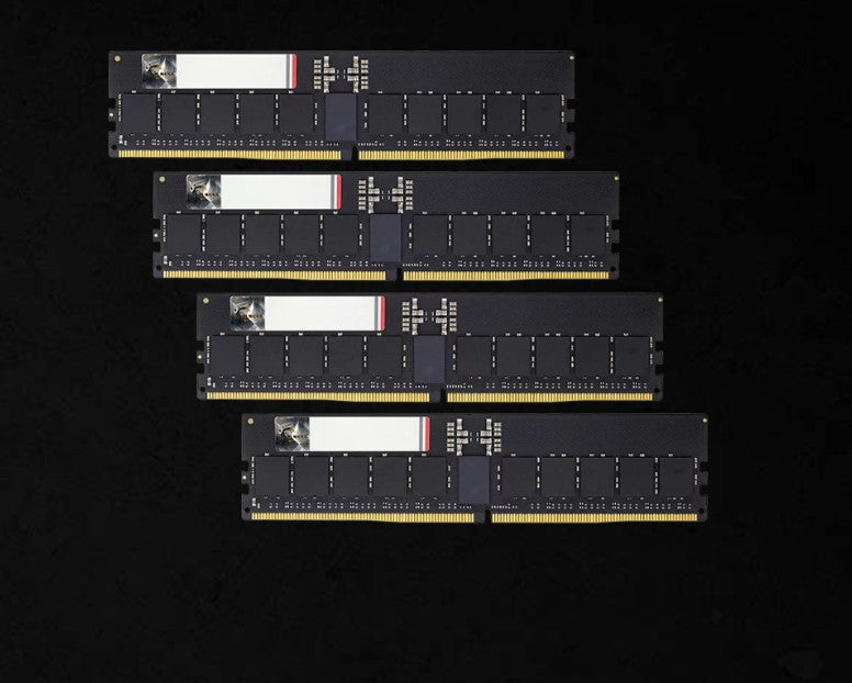 G.SKILL G5 Neo 64GB (4x16GB) DDR5 6000 MT/s R-DIMM | CL30 | AMD EXPO | ECC