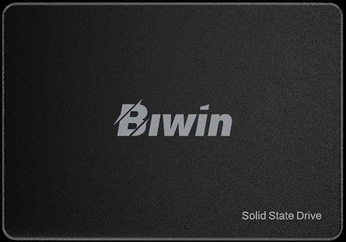 BIWIN M100 1TB 2.5" SATA III SSD — 550MB/s Read 500MB/s Write 3D NAND 3YR