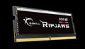 G.SKILL Ripjaws DDR5 48GB (1x48GB) SODIMM 5600MHz CL46 1.1V Laptop Notebook Memory