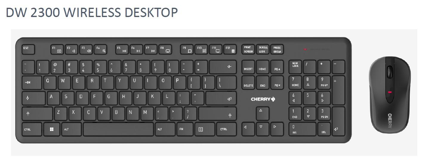 CHERRY DW 2300 Wireless KnM combo
