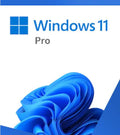 Microsoft Windows 11 Professional Retail 64-bit USB Flash Drive (HAV-00163)
