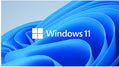 Microsoft Windows 11 Pro for Workstations 64-bit — By Order (HZV-00101)