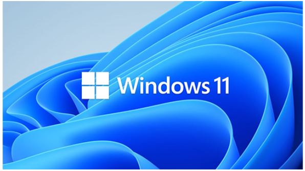 Microsoft Windows 11 Pro for Workstations 64-bit — By Order (HZV-00101)