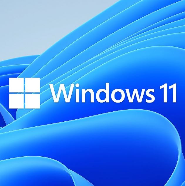 Microsoft Windows 11 Home OEM 64-bit DVD — Genuine Licence Key (KW9-00632)
